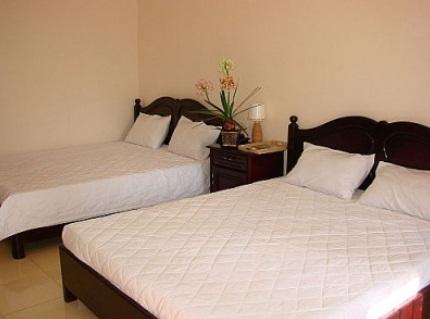 Sen Vang Guest House Nha Trang Chambre photo